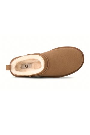 Chestnut suede Classic Micro Boot UGG | 1173891CHE