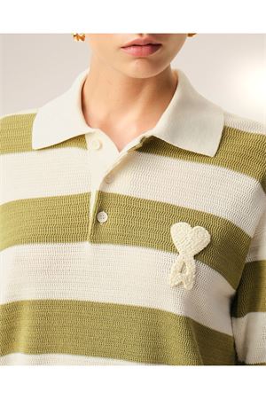  AMI | FPL430KN0153A041