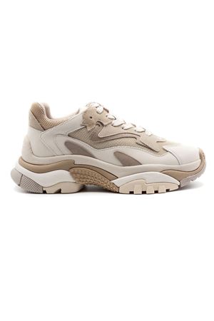 Sneakers Addict in pelle e mesh bianco talco e beige ASH | ADDICT01TALCVAPOUR