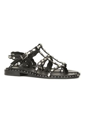 Sandalo Plus in pelle nera ASH | PLUS01BLACK