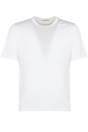 T-shirt in cotone bianco KANGRA | 30282100001